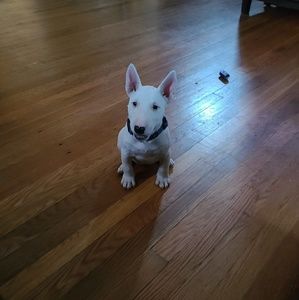 Meet your Posher, Veronica